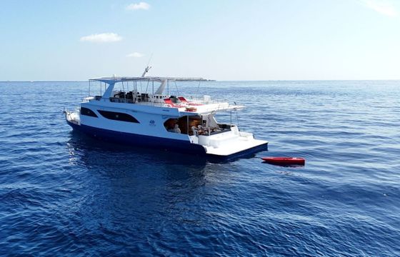 Motorboat Maldives Vessel Typ 326hp