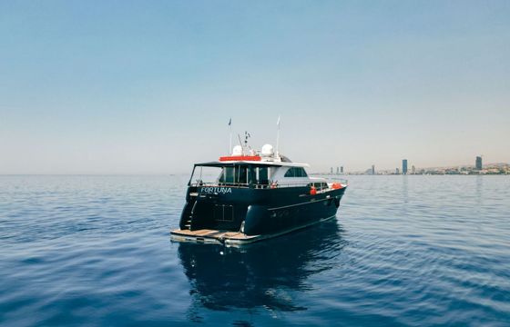 Motorboat Van Der Walk Continental 21 WheelHouse 740hp