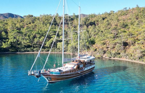 Gulet Custom Built Gulet 79ft 24m 24m