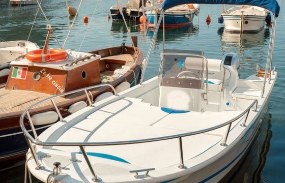 Boat without licence  Venere Venere relax 40hp