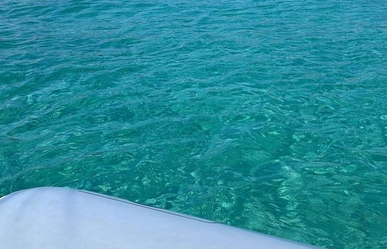 RIB Capelli TEMPEST 900 SUN 250hp