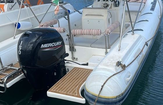 RIB Alson Alson 780 70hp