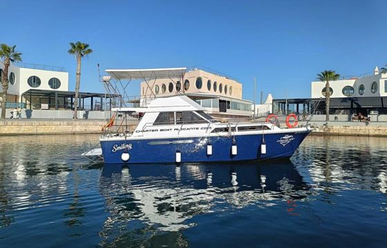 Motorboat Princess 37 460hp