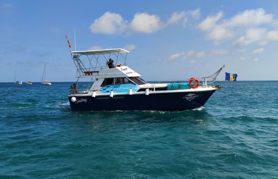 Motorboat Princess 37 460hp