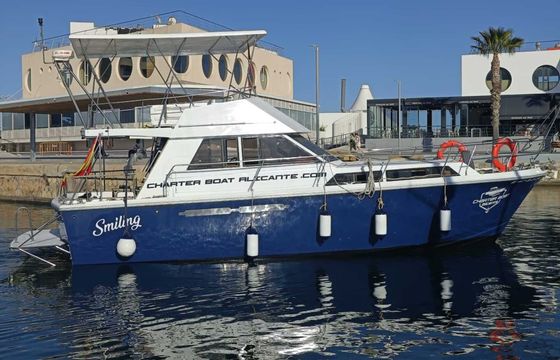 Motorboat Princess 37 460hp