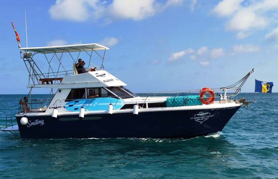 Motorboat Princess 37 460hp