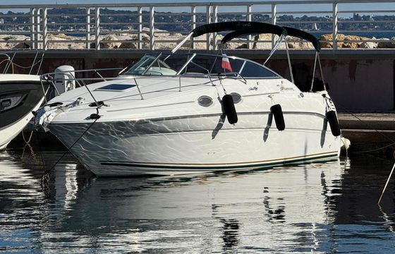 Motorboat Sea Ray 260 Sundancer 285hp
