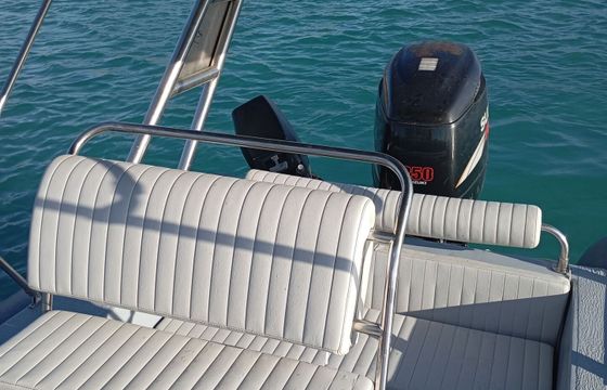 RIB Eagle Parousis team 275hp