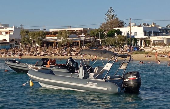 RIB Eagle Parousis team 275hp