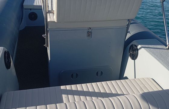 RIB Eagle Parousis team 275hp
