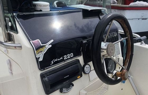 Motorboat Centro Mare Parthenope Gaia 220