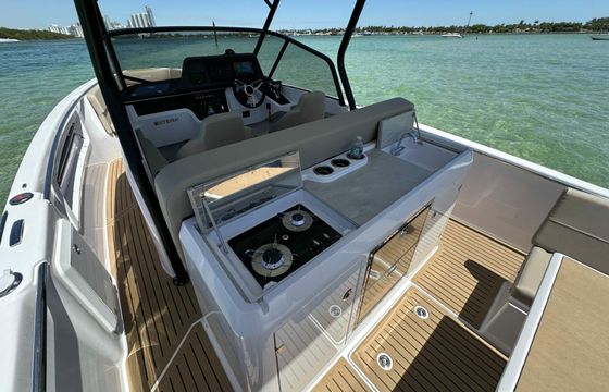 Motorboat Sterk 31 WB 500hp