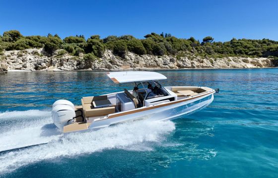 Motorboat Sterk 31 WB 500hp