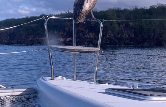 Catamaran Lagoon 450F 14m