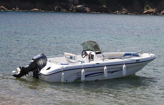 Boat without licence  RANIERI 17 40hp