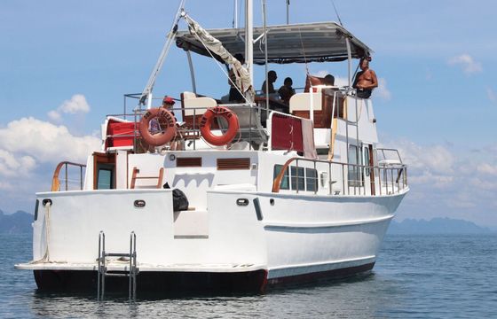Motor yacht Ed Monk Ed Monk 450hp