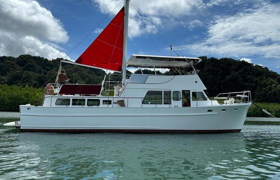 Motor yacht Ed Monk Ed Monk 450hp