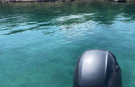 Motorboat ELAN 650 Cabin 150hp