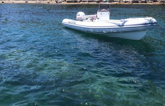 Motorboat NAUTICA PETRACHI GOMMONE 140hp