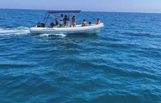 Motorboat NAUTICA PETRACHI GOMMONE 140hp