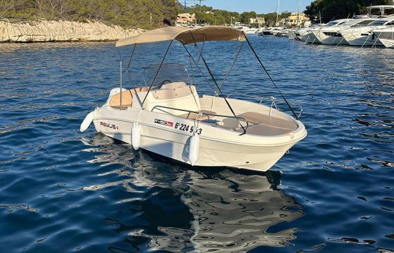 Boat without licence  remus 450 15hp