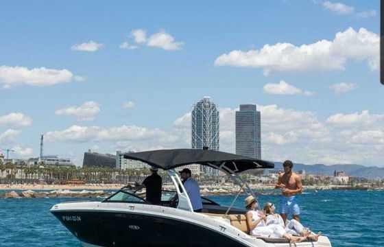 Motorboat Sea Ray Sdx 290