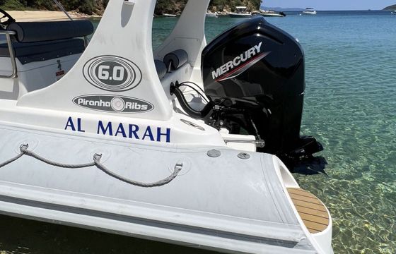 RIB Nicolas 1 Piranha Rib 115Hp Mercury 2026 115hp