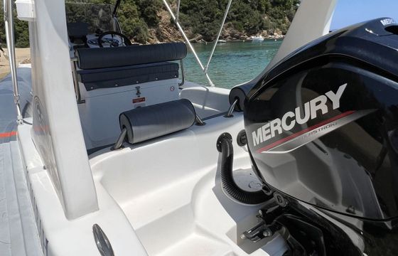 RIB Nicolas 1 Piranha Rib 115Hp Mercury 2026 115hp