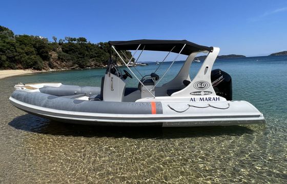 RIB Nicolas 1 Piranha Rib 115Hp Mercury 2026 115hp