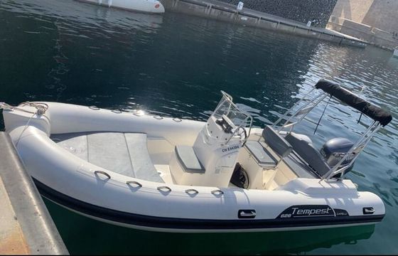 RIB CAPELLI TEMPEST 570 100hp