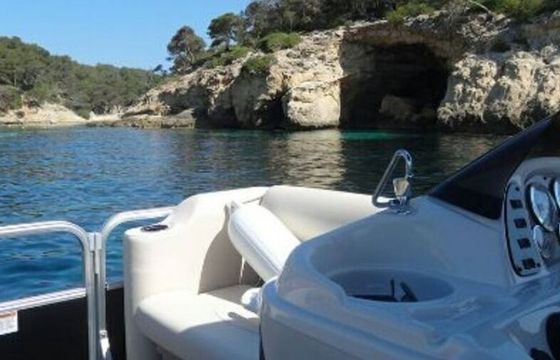 Boat without licence  Starcraft Sun Chaser 15hp