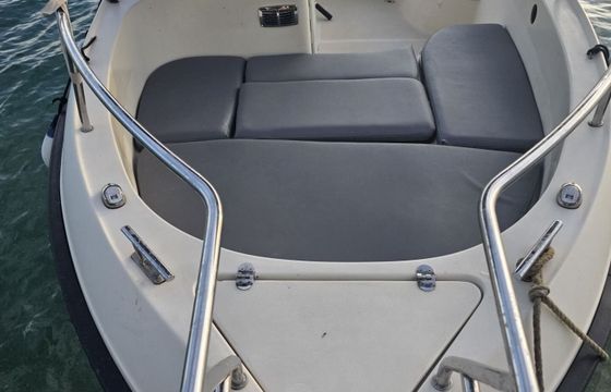 Motorboat Fisher 5.30 115hp