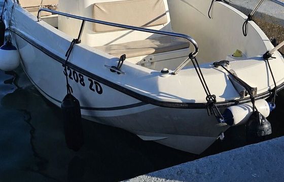 Motorboat Quicksilver Activ555 115hp
