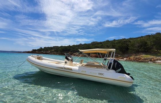 RIB Bsc bsc75 250hp