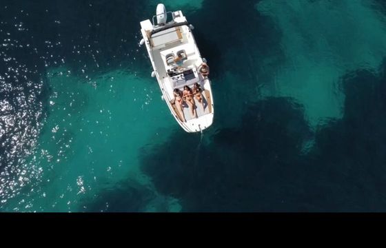 Motorboat Beneteau FLYER 7 SUNDECK 200hp