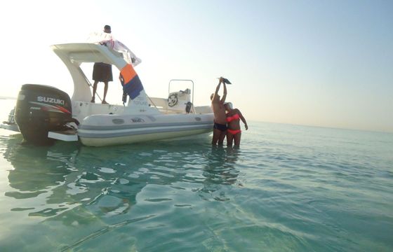 RIB Bullet Speedboats Custom 200hp