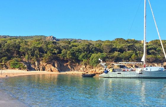 Sailboat Alubat Ovni 12m