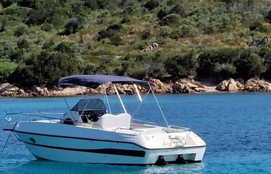 Motorboat Molinari 750 Open 270hp