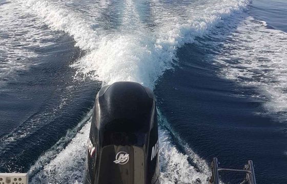 Motorboat Quicksilver Activ 555 Cabin 100hp