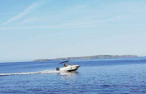 Motorboat Quicksilver Activ 555 Cabin 100hp