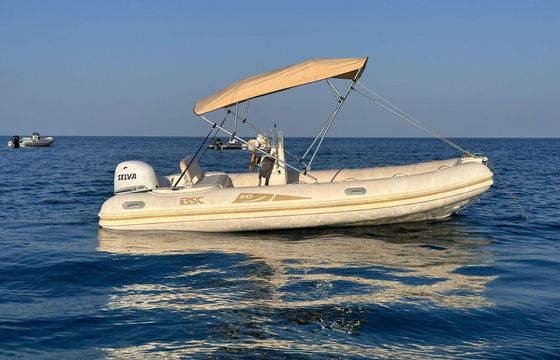 Boat without licence  BSC Colzani SRL BSC 46 40hp