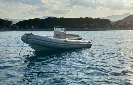Boat without licence  BSC Colzani SRL BSC 46 40hp