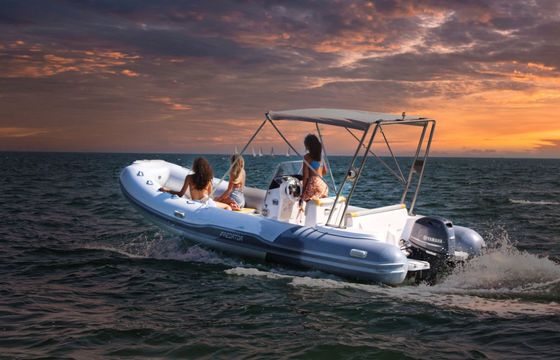 Boat without licence  Predator 6,00 40hp