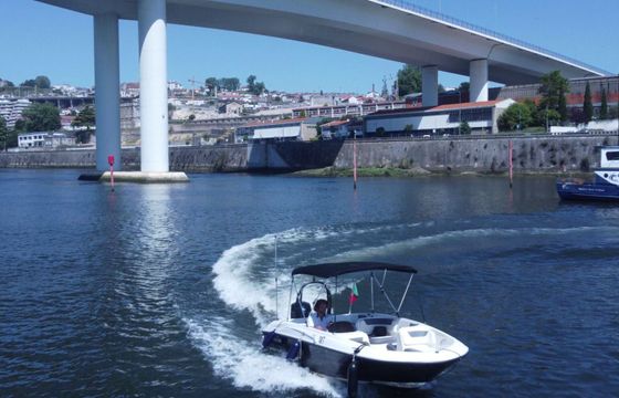 Motorboat Private Cruise 115hp