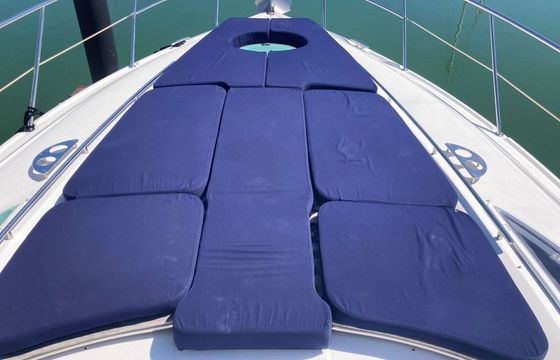 Motorboat Doral 2010 700hp
