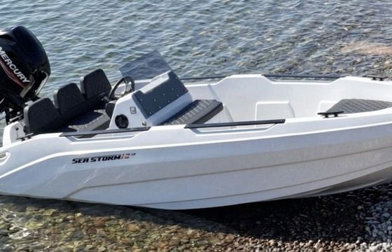 Motorboat SeaStorm 17 15hp