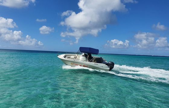 Motorboat Jeanneau Cap camarat 150hp