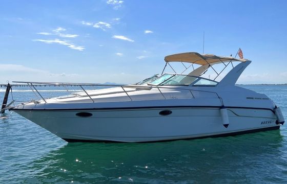 Motorboat Sea Ray 310 520hp
