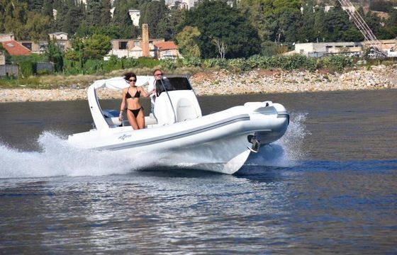 RIB ALTAMAREA WAVE 24 250CV 250hp