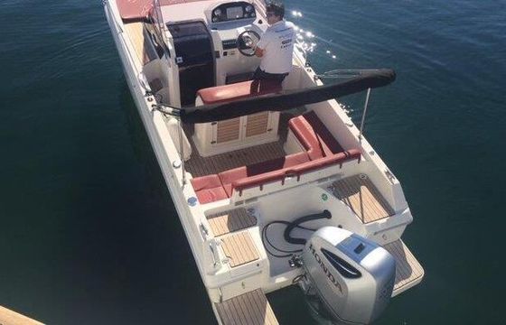 Motorboat Atlantic 730 Sun Cruiser 250hp